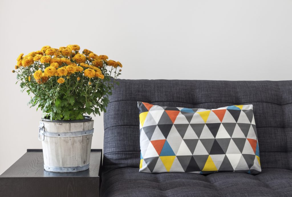 Redecorate Your Apartment: Fall 2015