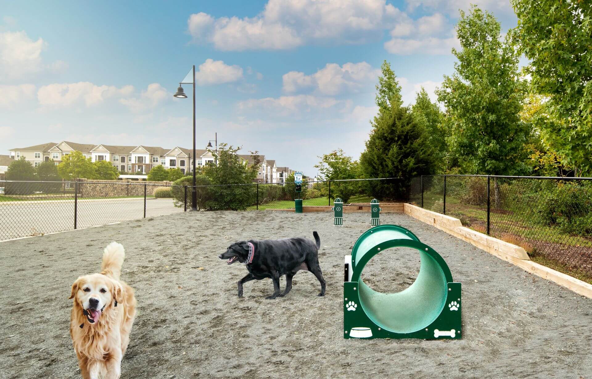 ArcadiaRun_Ext_Amenity_DogParkActivated_GregDohler_Oct2022 (1)